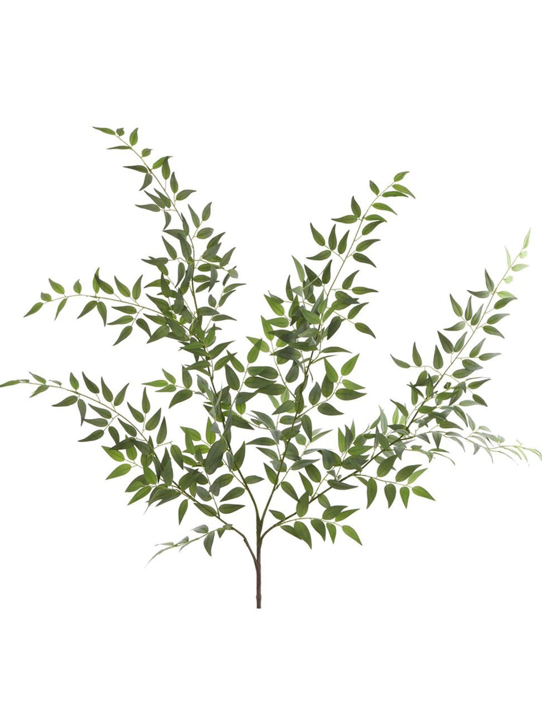Artificial Italian Ruscus Bush - Greenery MarketPBR147 - GR/GY
