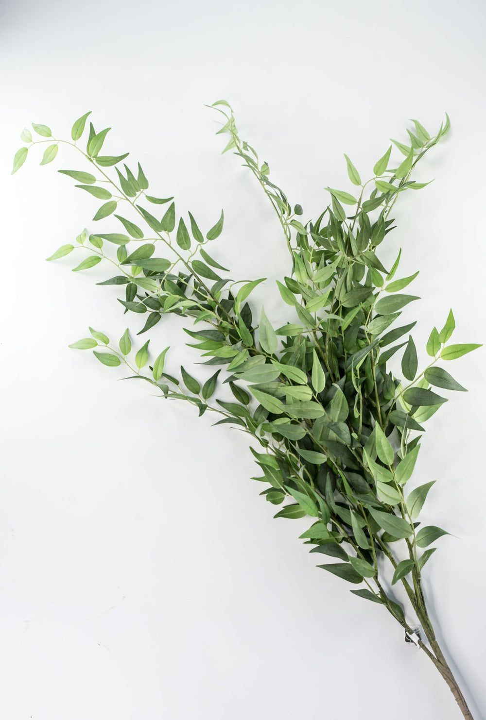 Artificial Italian Ruscus Bush - Greenery MarketPBR147 - GR/GY