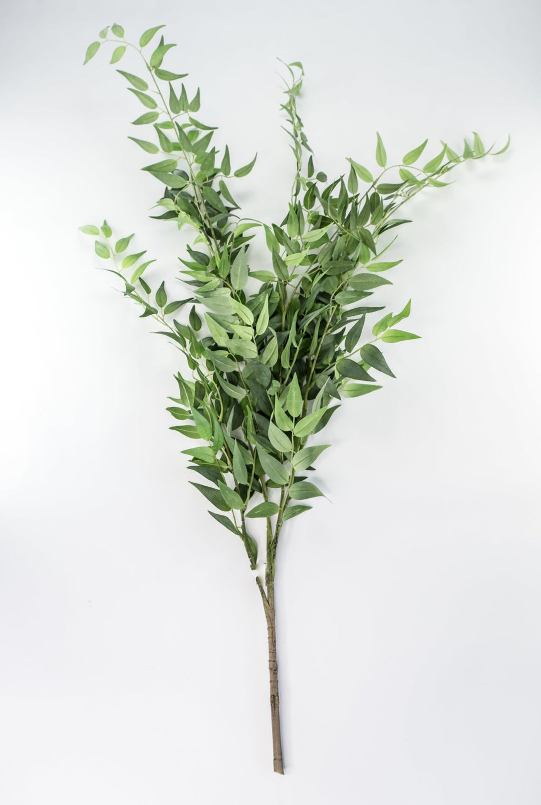 Artificial Italian Ruscus Bush - Greenery MarketPBR147 - GR/GY