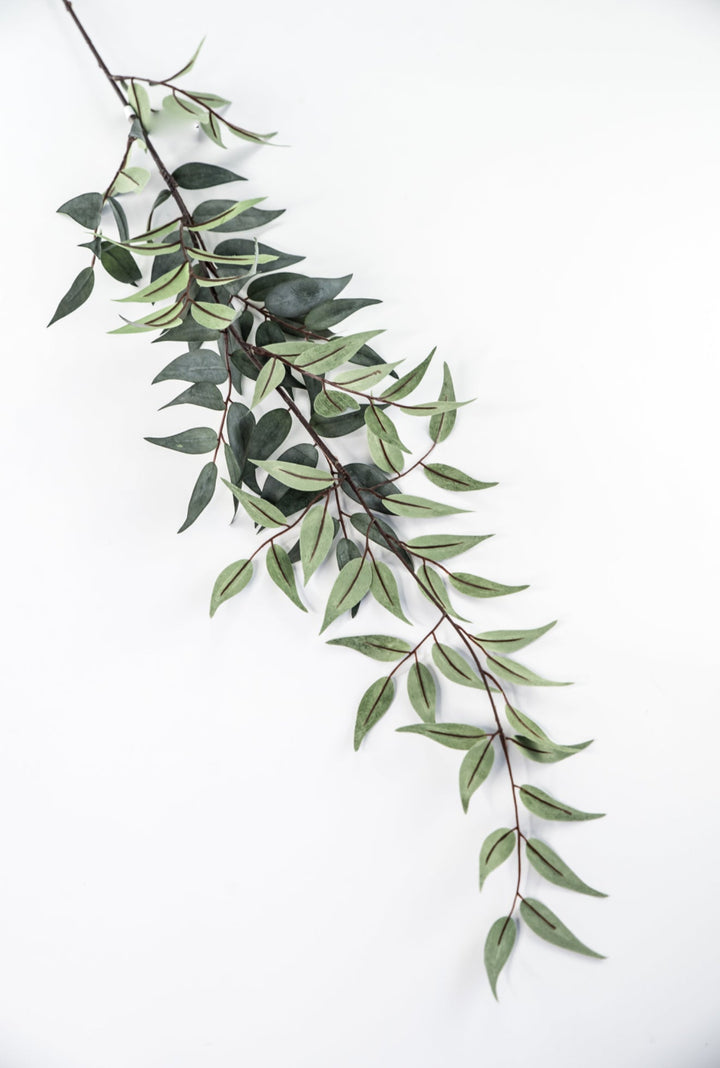 Artificial Italian Ruscus Spray - 44” - Greenery MarketPSR843 - GR/GY