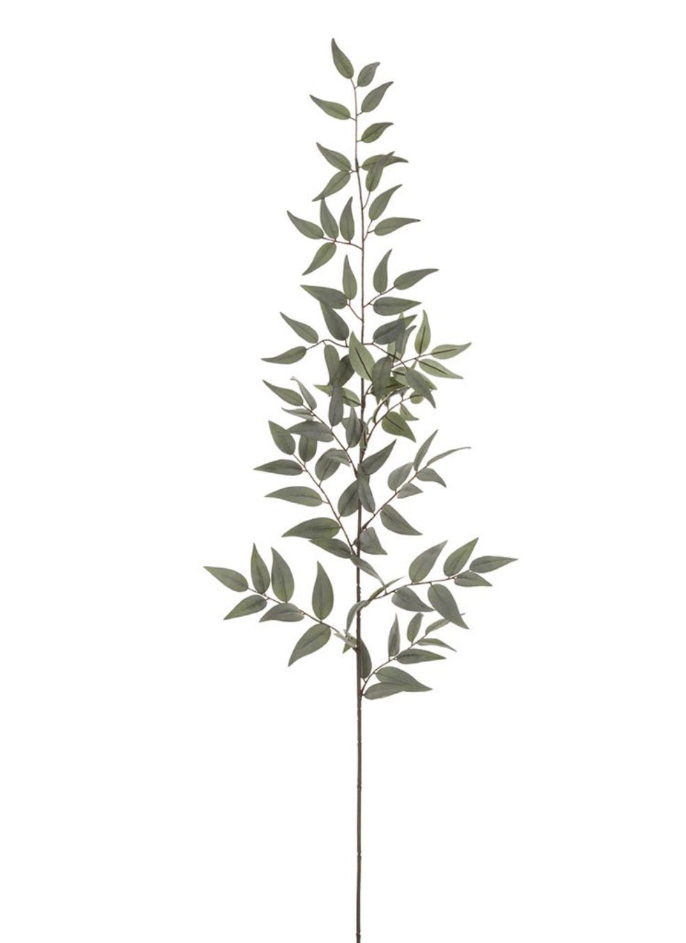 Artificial Italian Ruscus Spray - 44” - Greenery MarketPSR843 - GR/GY