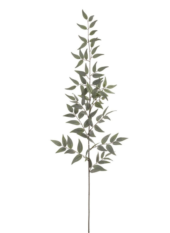 Artificial Italian Ruscus Spray - 44” - Greenery MarketPSR843 - GR/GY