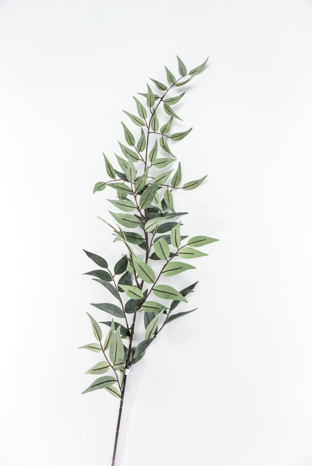 Artificial Italian Ruscus Spray - 44” - Greenery MarketPSR843 - GR/GY