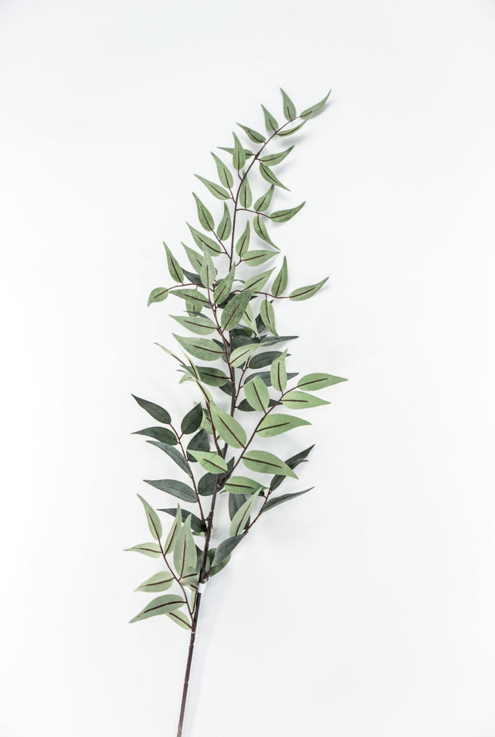 Artificial Italian Ruscus Spray - 44” - Greenery MarketPSR843 - GR/GY