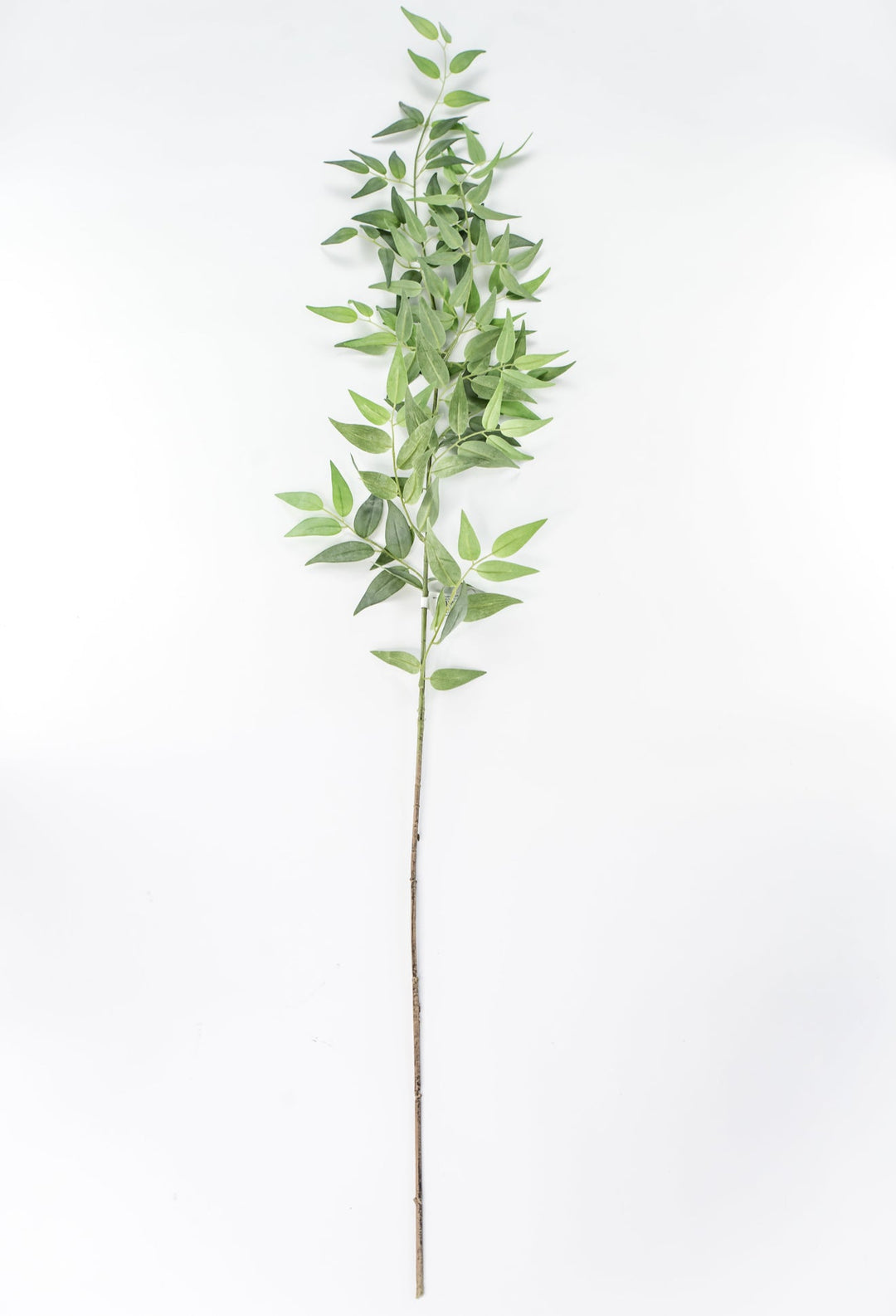Artificial Italian Ruscus Spray - 49” - Greenery MarketPSR249 - GR/GY