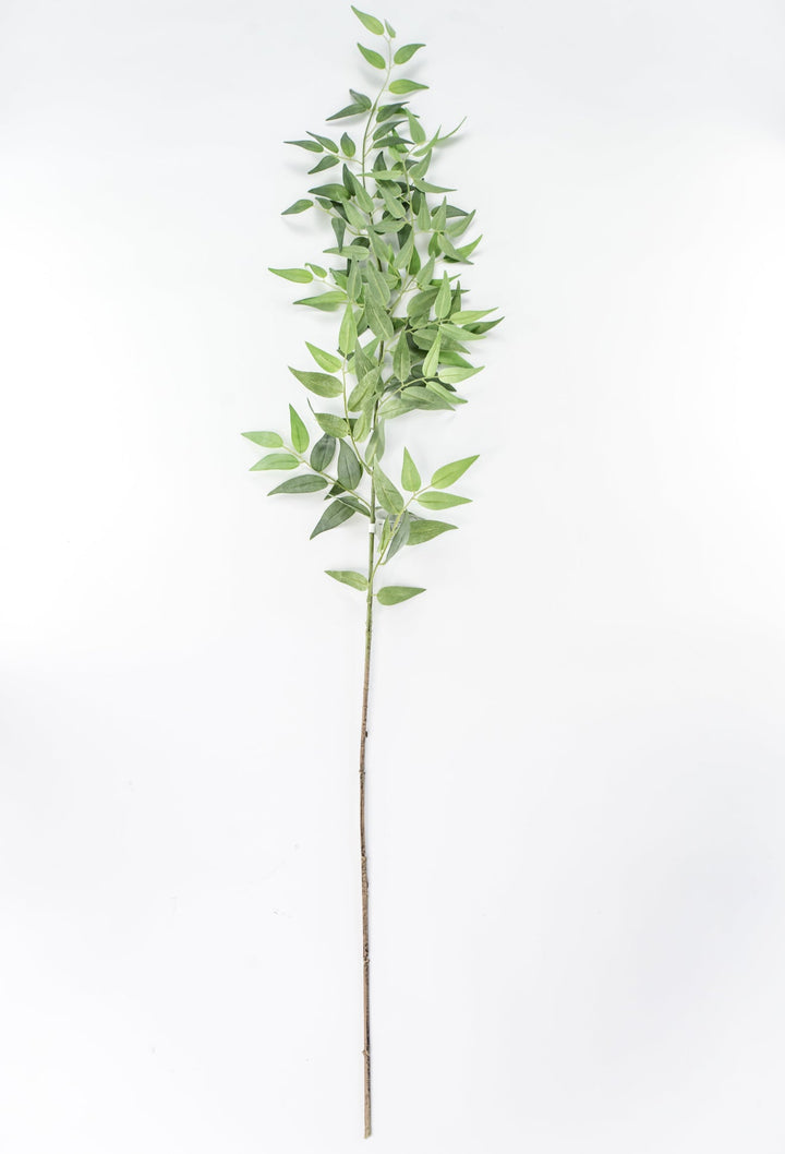 Artificial Italian Ruscus Spray - 49” - Greenery MarketPSR249 - GR/GY