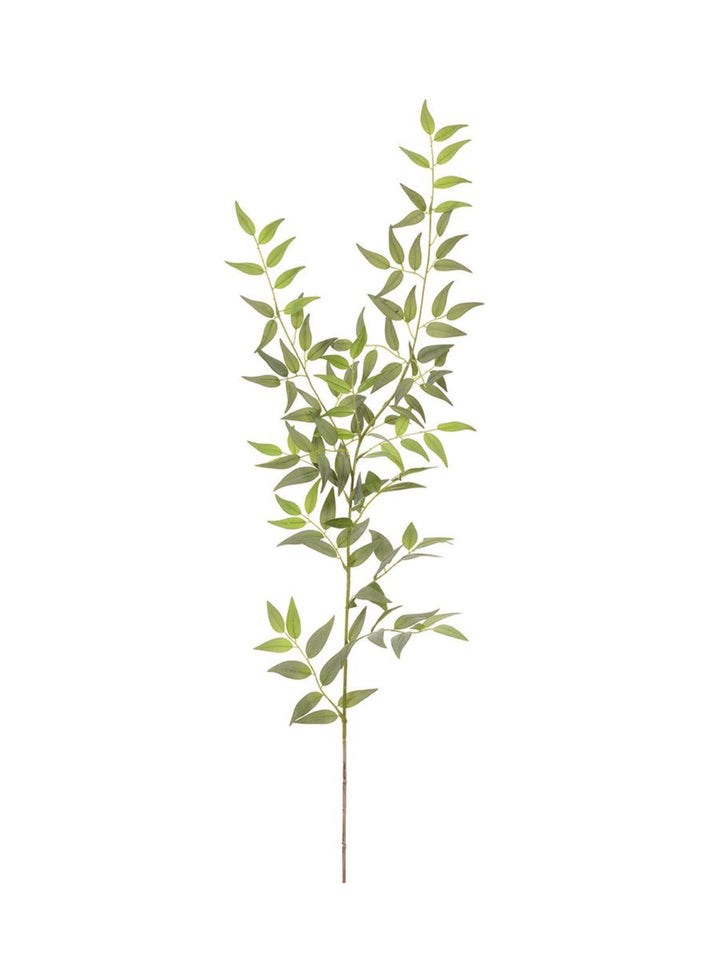 Artificial Italian Ruscus Spray - 49” - Greenery MarketPSR249 - GR/GY