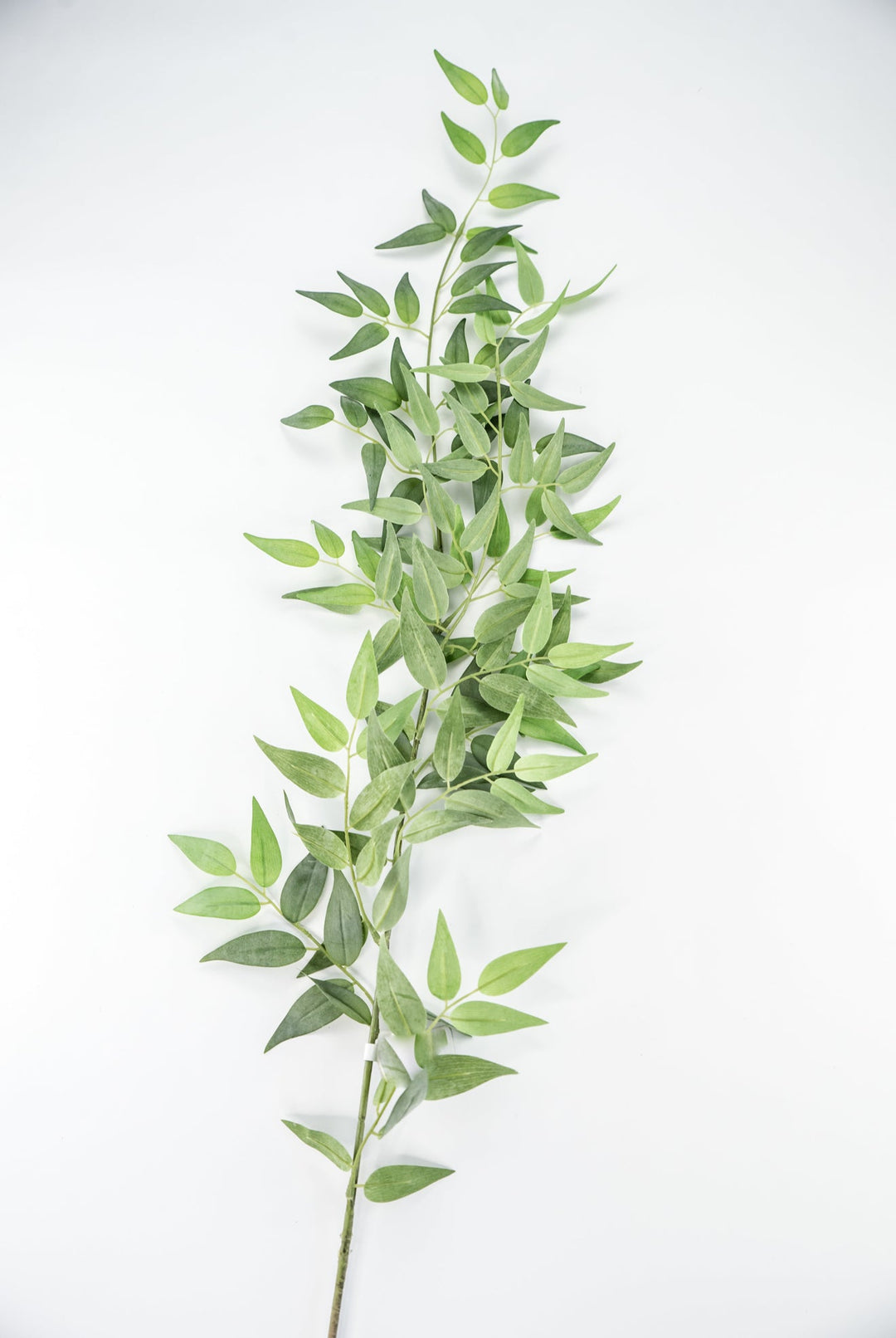 Artificial Italian Ruscus Spray - 49” - Greenery MarketPSR249 - GR/GY