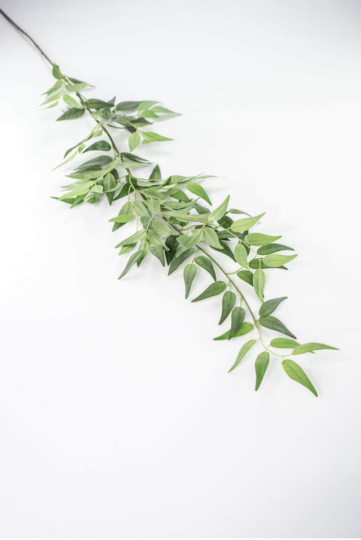 Artificial Italian Ruscus Spray - 49” - Greenery MarketPSR249 - GR/GY