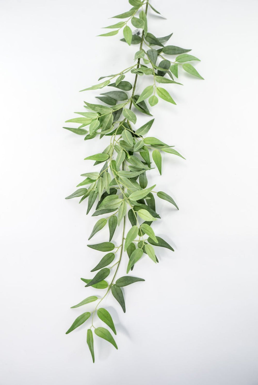 Artificial Italian Ruscus Spray - 49” - Greenery MarketPSR249 - GR/GY