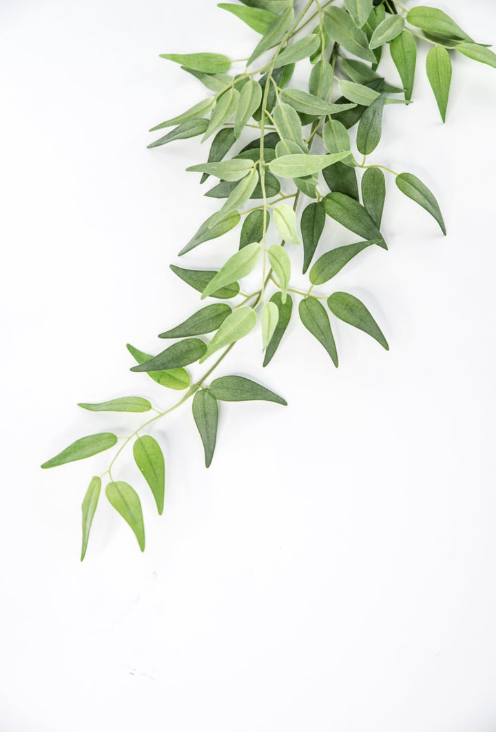 Artificial Italian Ruscus Spray - 49” - Greenery MarketPSR249 - GR/GY