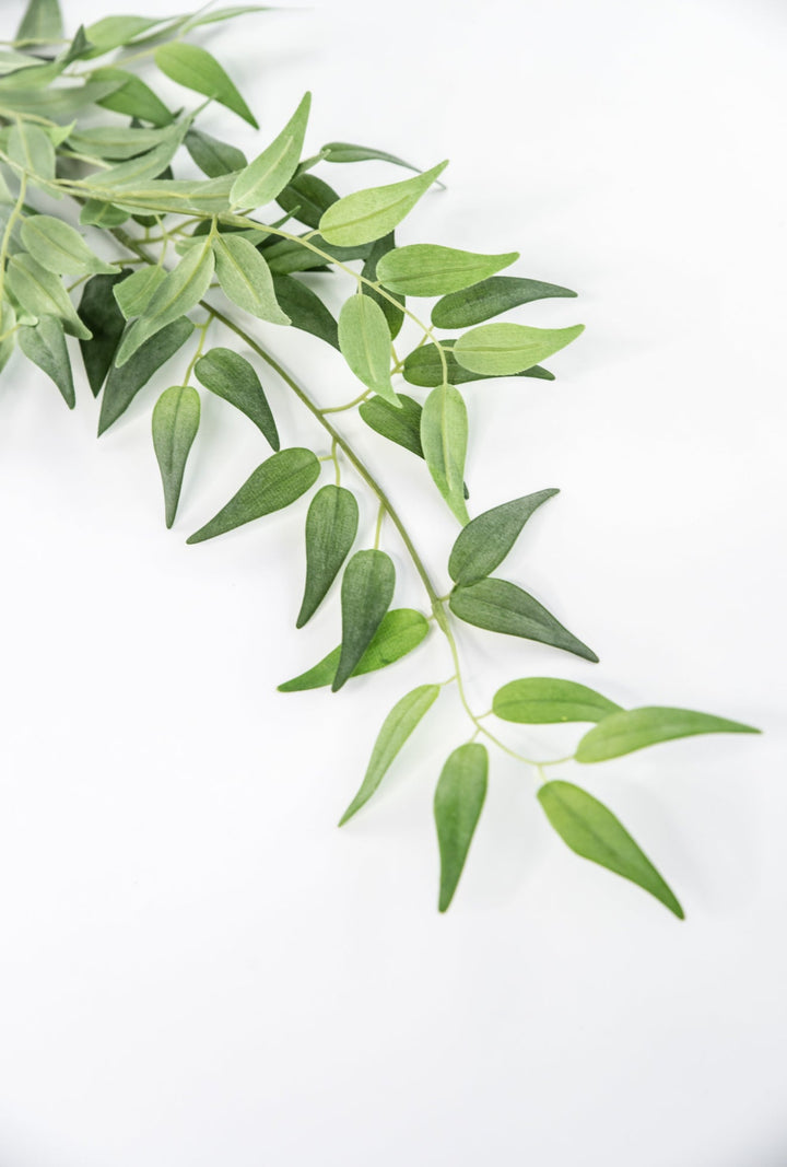 Artificial Italian Ruscus Spray - 49” - Greenery MarketPSR249 - GR/GY