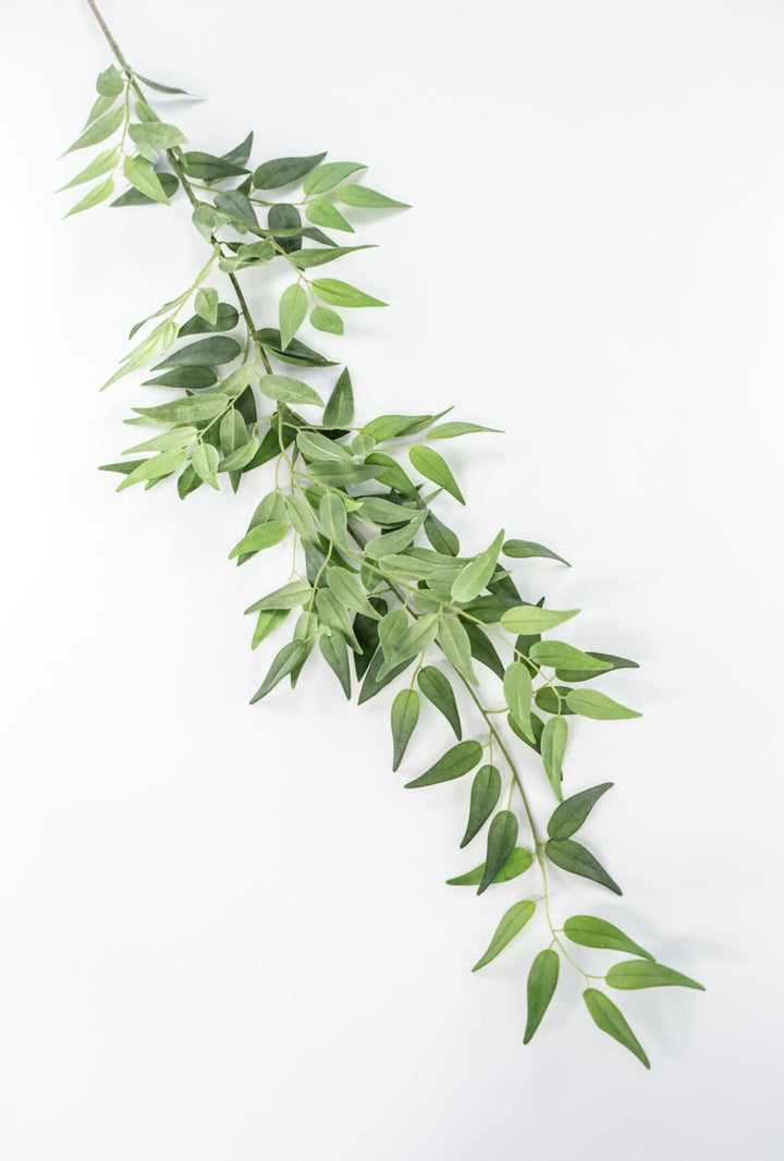 Artificial Italian Ruscus Spray - 49” - Greenery MarketPSR249 - GR/GY