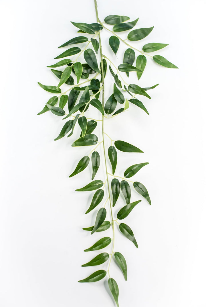Artificial Italian Ruscus Spray - Greenery MarketGM5222