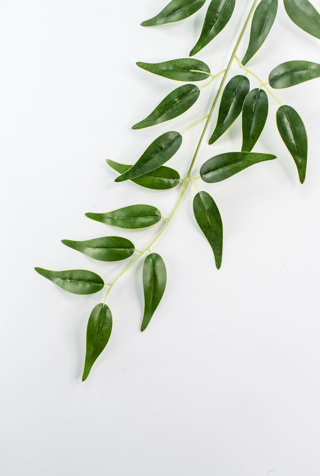 Artificial Italian Ruscus Spray - Greenery MarketGM5222