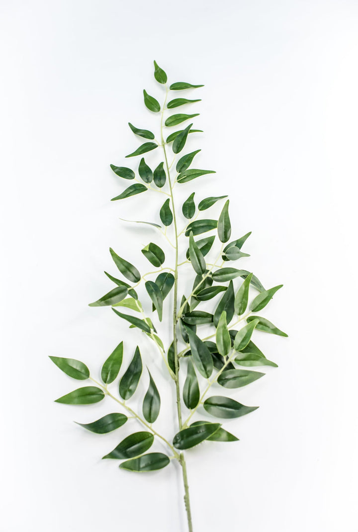 Artificial Italian Ruscus Spray - Greenery MarketGM5222