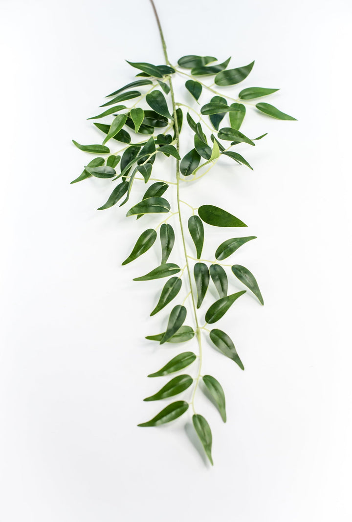 Artificial Italian Ruscus Spray - Greenery MarketGM5222