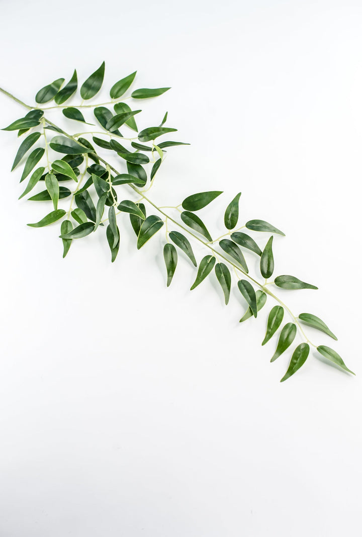 Artificial Italian Ruscus Spray - Greenery MarketGM5222