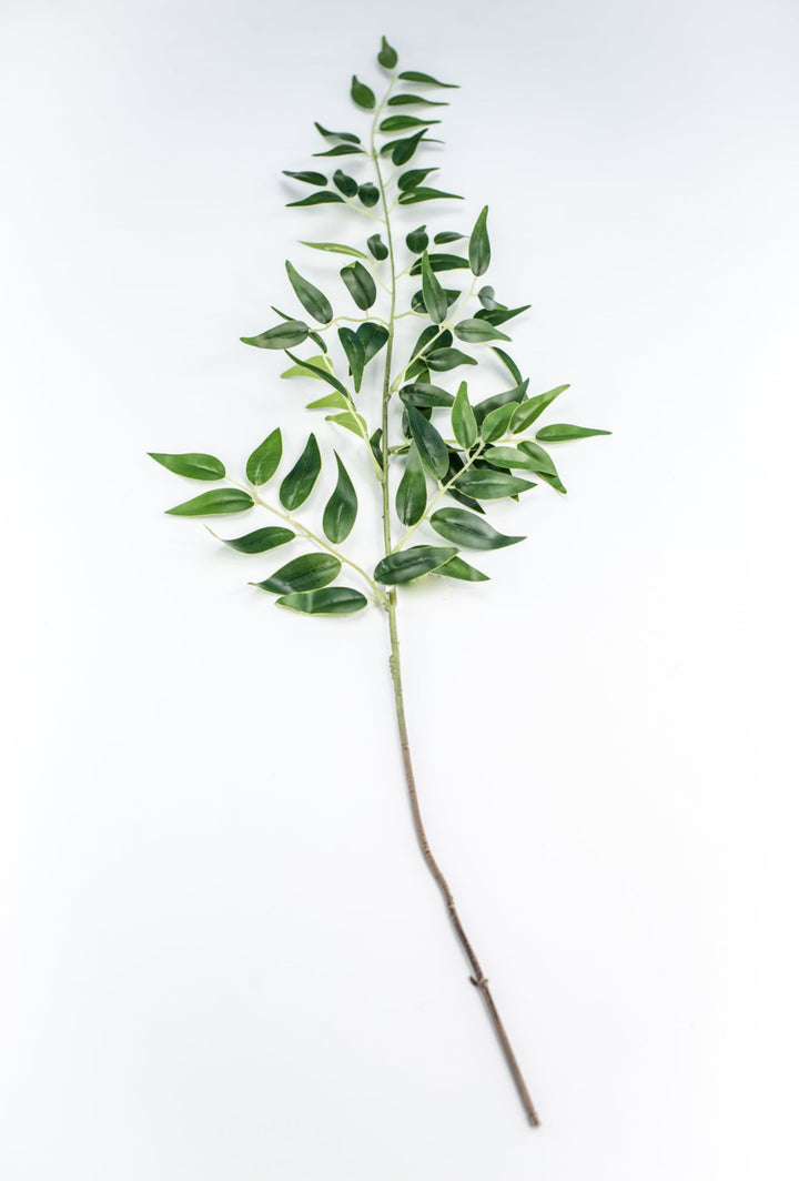 Artificial Italian Ruscus Spray - Greenery MarketGM5222