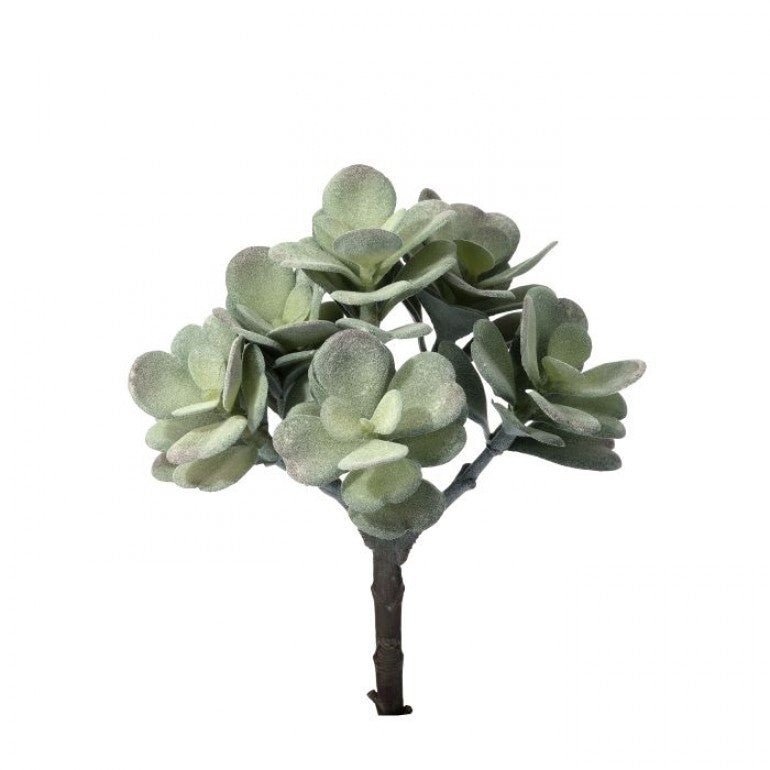 Artificial Jade Succulent Pick - Gray Green - Greenery MarketMTF24474 GREY