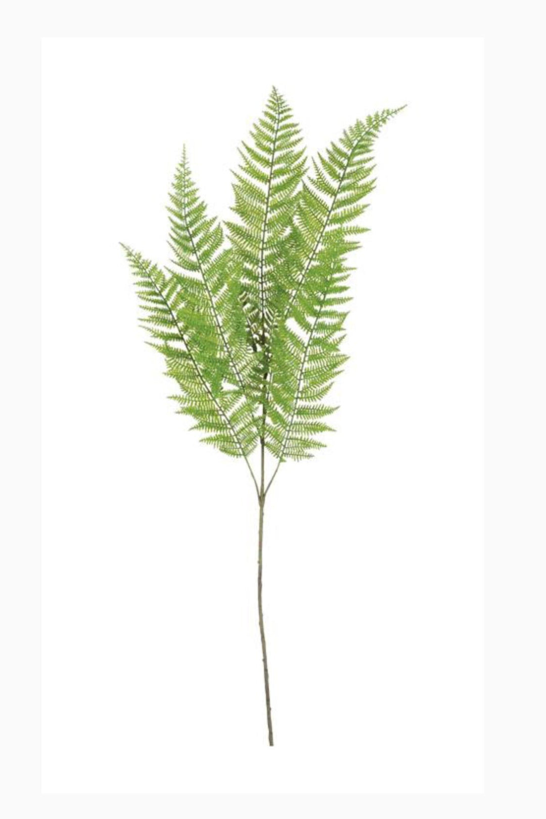 Artificial Lace Fern greenery spray - Greenery MarketgreeneryFL6936 - LG