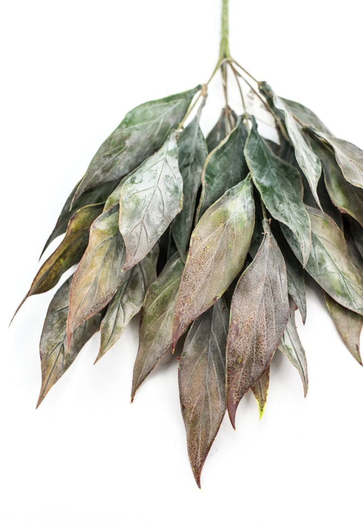 Artificial, leaf bush - green brown - Greenery Marketartificial flowers26799
