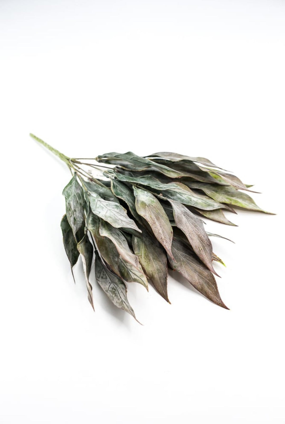 Artificial, leaf bush - green brown - Greenery Marketartificial flowers26799