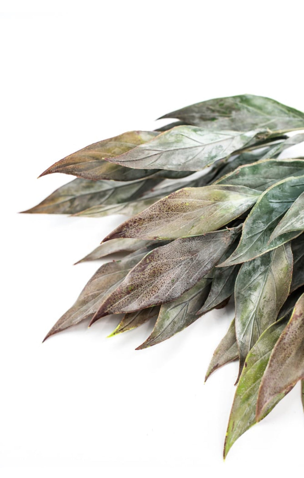 Artificial, leaf bush - green brown - Greenery Marketartificial flowers26799