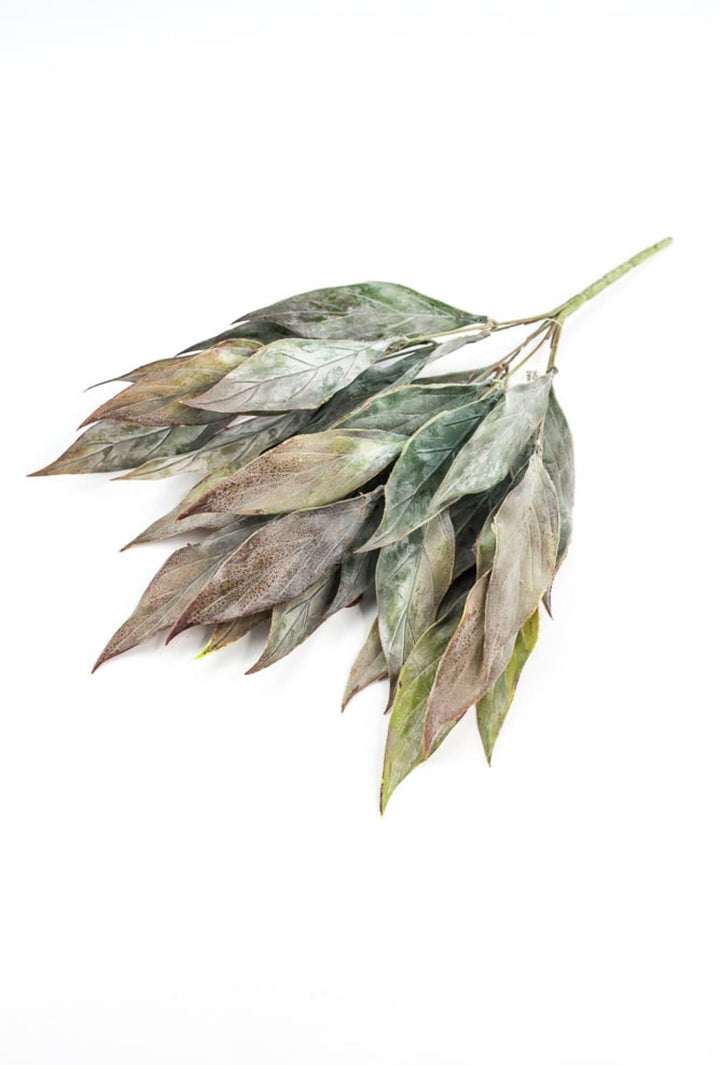 Artificial, leaf bush - green brown - Greenery Marketartificial flowers26799