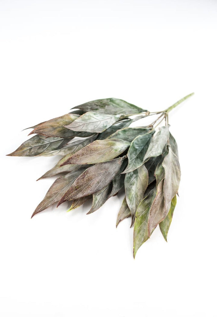 Artificial, leaf bush - green brown - Greenery Marketartificial flowers26799