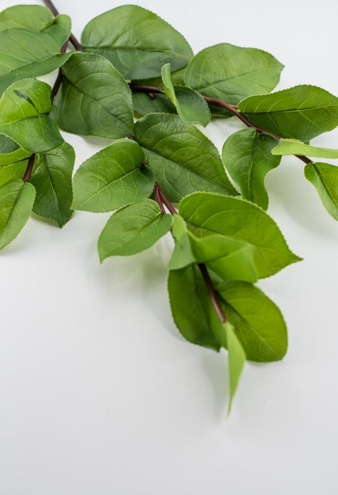 Artificial, lemon leaf, spray - Greenery Market2330046GR
