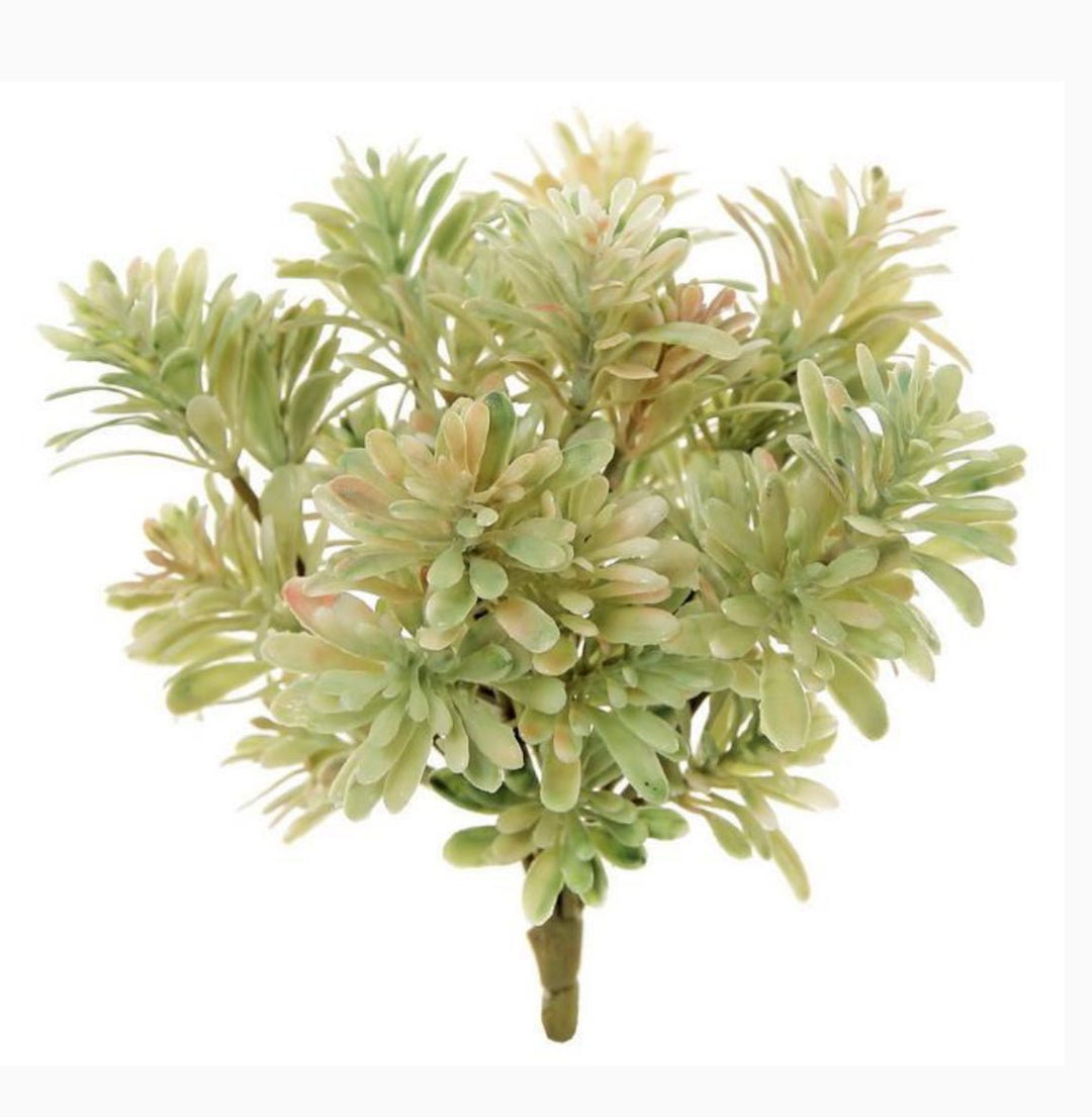 Artificial mini jade bush - Greenery MarketFL2250 - MS