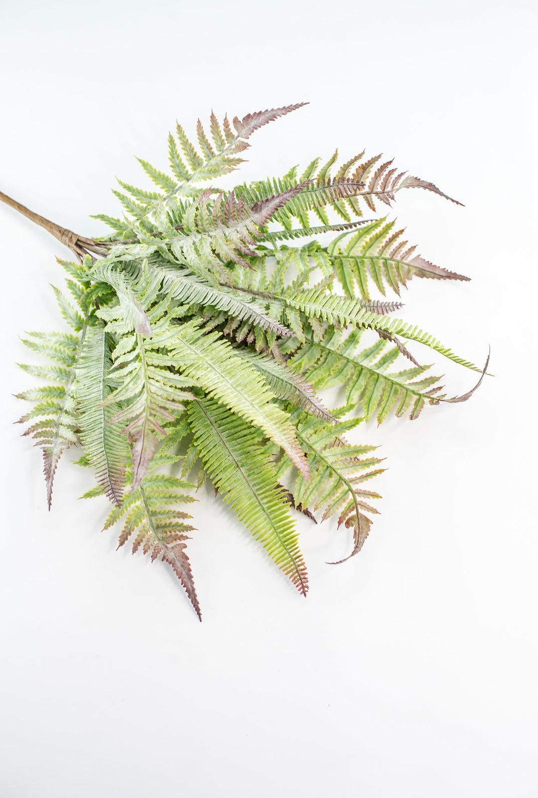 Artificial Mixed Fern Bush - Greenery MarketPBF726 - GR/GY