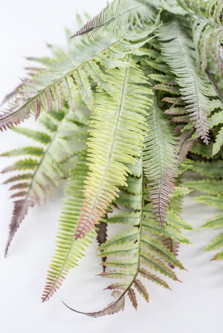 Artificial Mixed Fern Bush - Greenery MarketPBF726 - GR/GY
