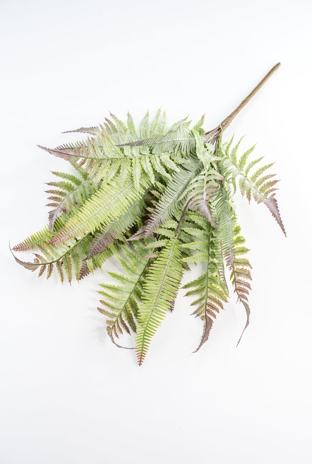 Artificial Mixed Fern Bush - Greenery MarketPBF726 - GR/GY