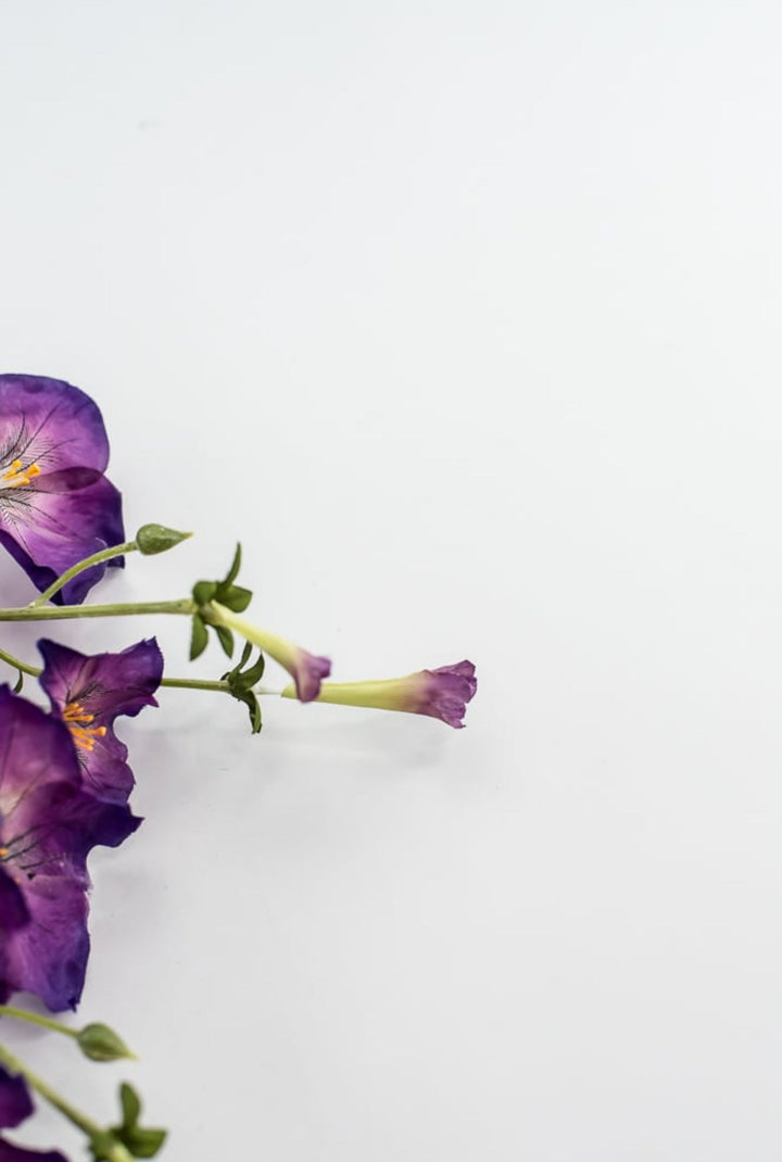 Artificial, Morning Glory Spray - purple - Greenery Market5993 - pu