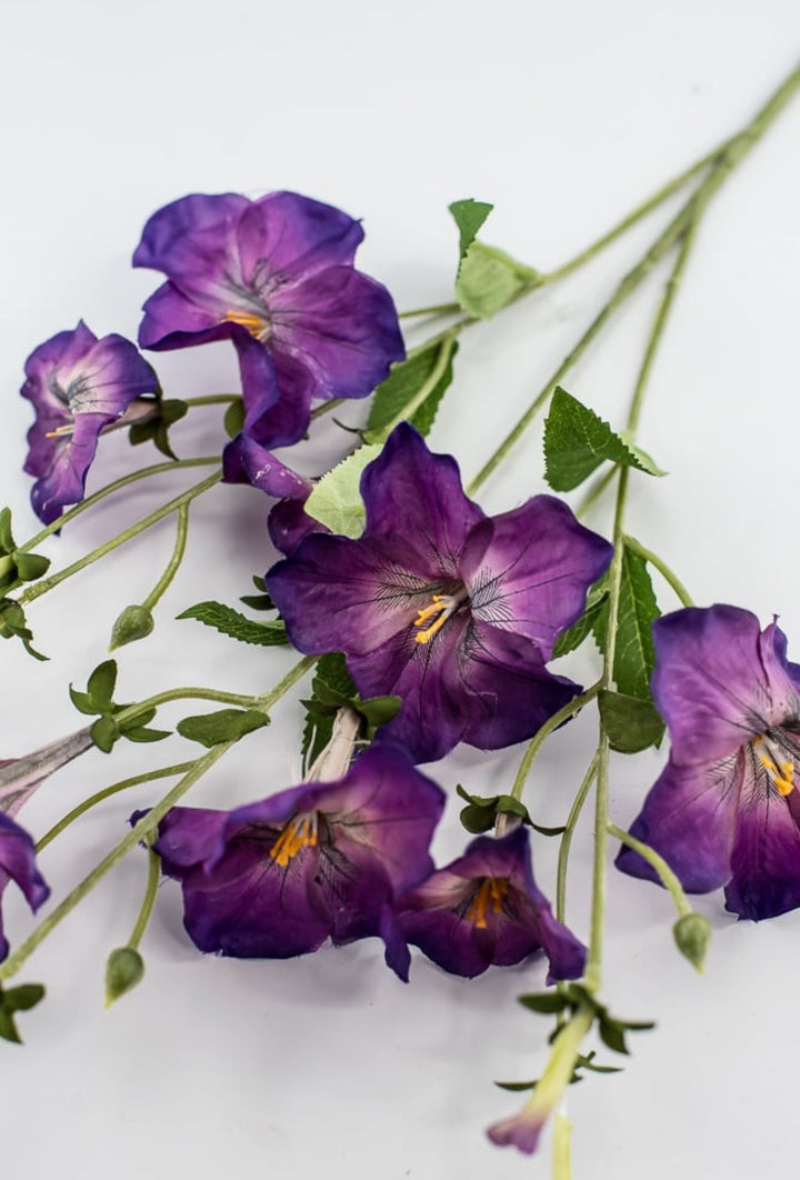 Artificial, Morning Glory Spray - purple - Greenery Market5993 - pu