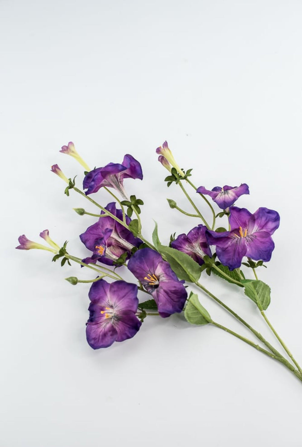 Artificial, Morning Glory Spray - purple - Greenery Market5993 - pu