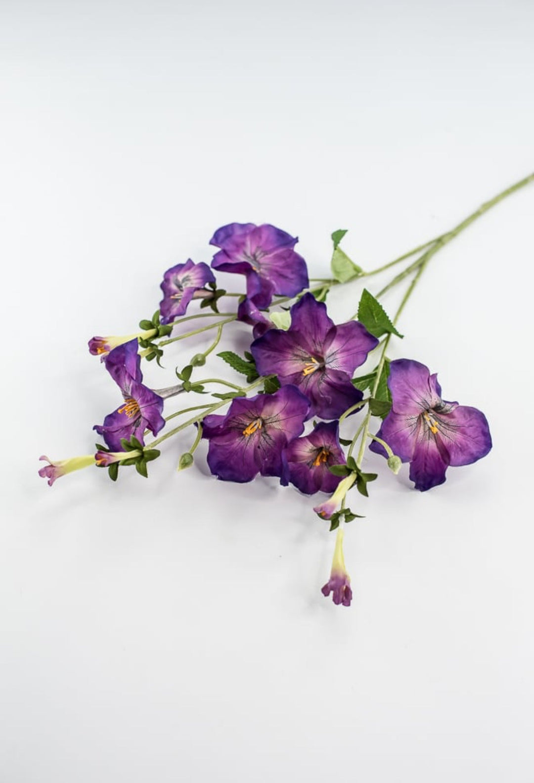 Artificial, Morning Glory Spray - purple - Greenery Market5993 - pu
