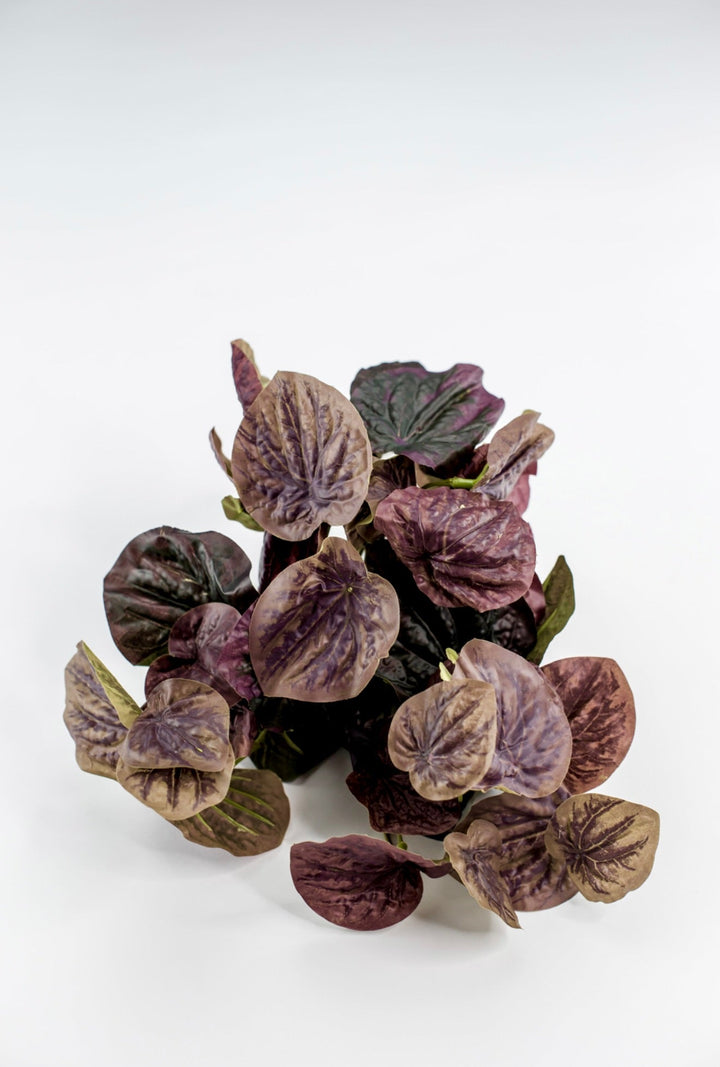 Artificial peperomia caperata bush - natural touch - Greenery MarketgreeneryMTF22886 BURG