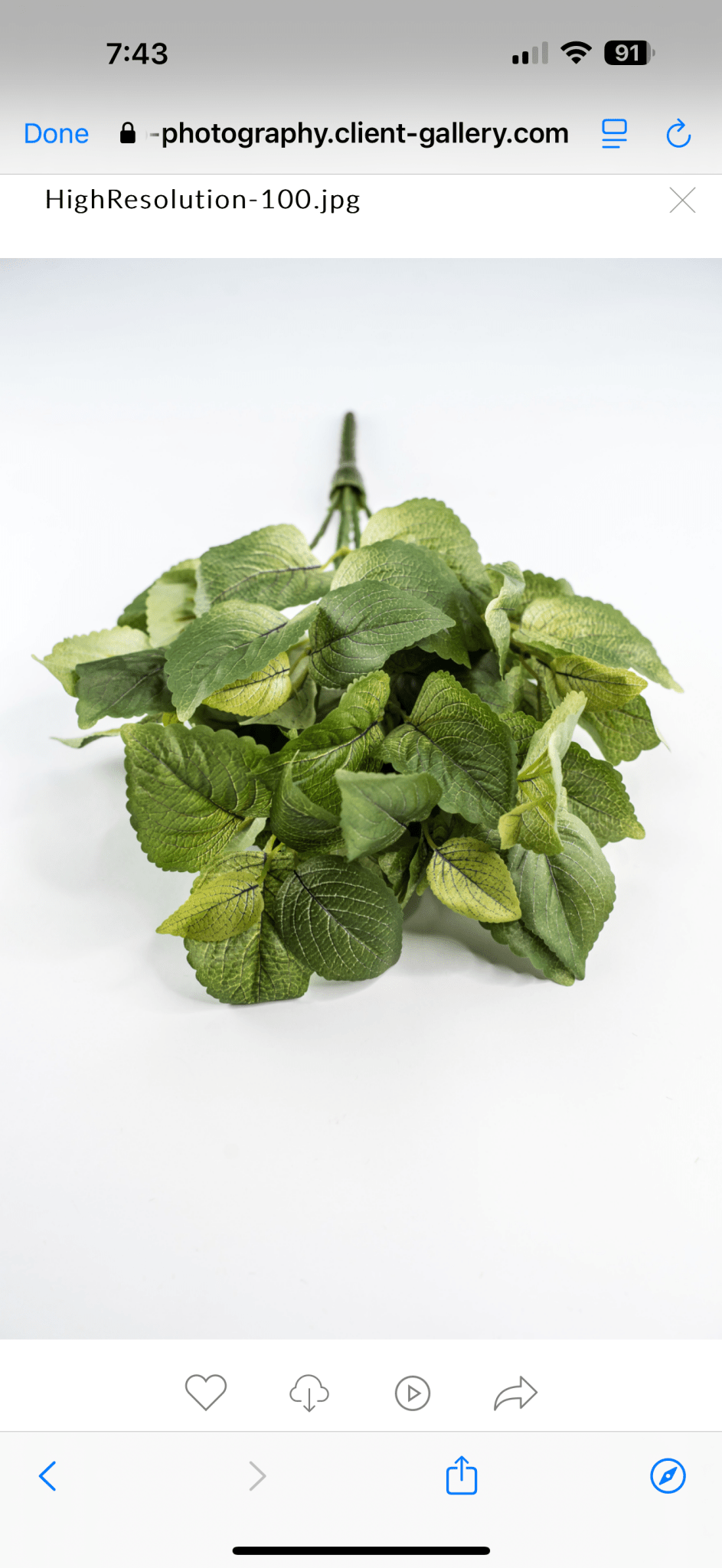 Artificial Perilla Bush - Greenery MarketPBP121 - GR