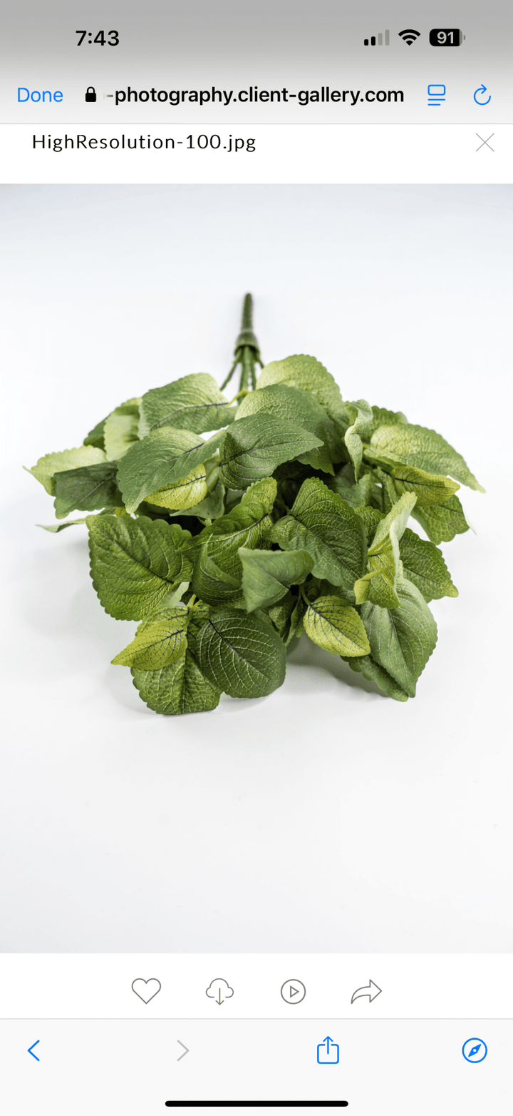 Artificial Perilla Bush - Greenery MarketPBP121 - GR