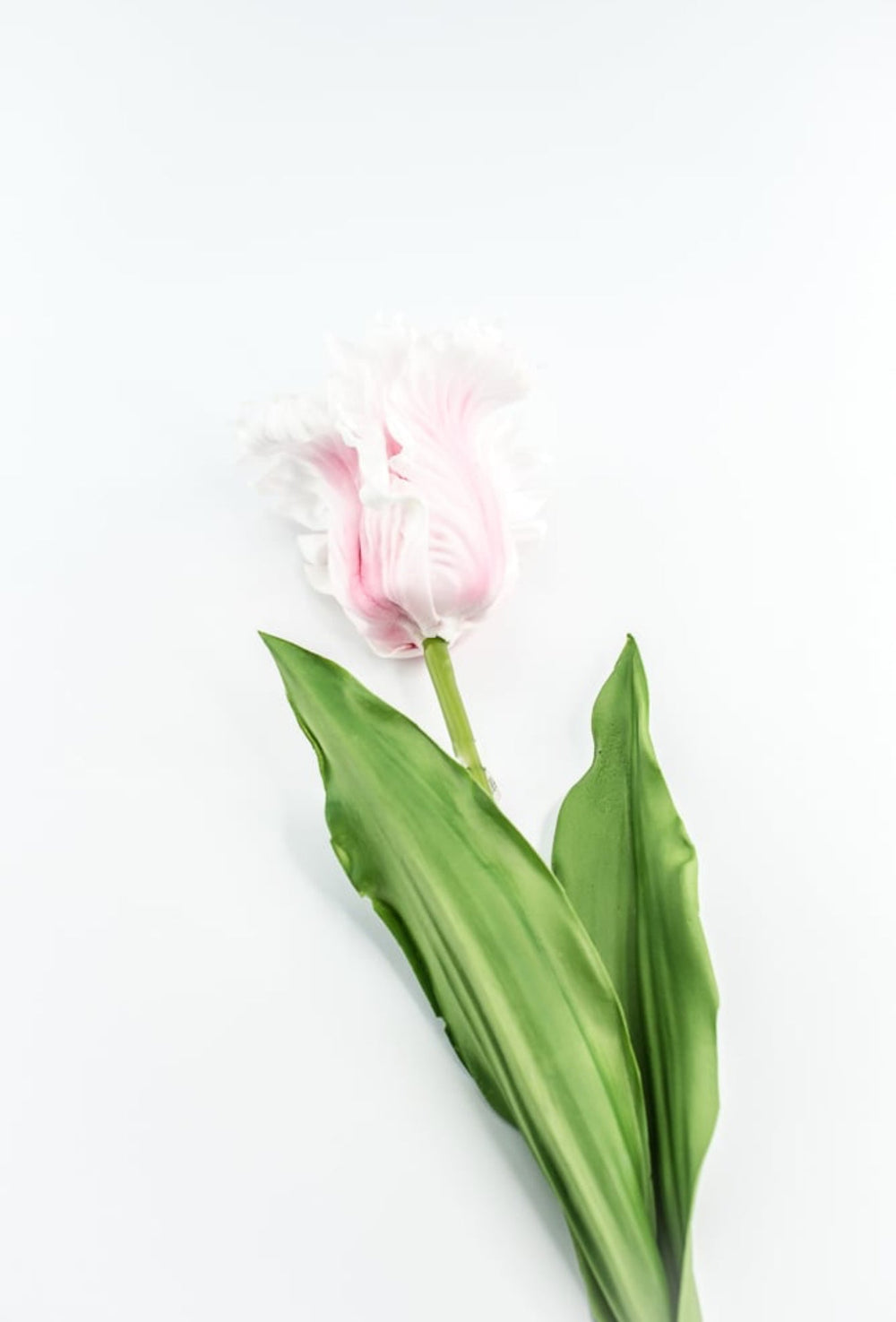 Artificial, pink, parrot tulip stem - Greenery MarketArtificial Flora2260032LP