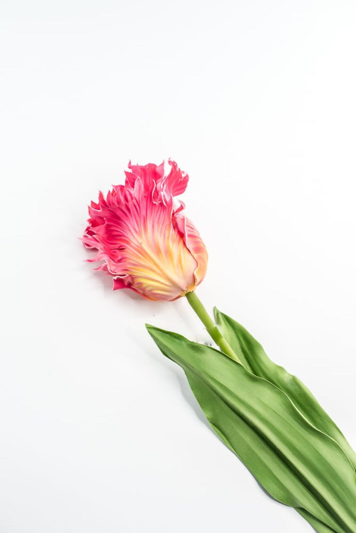 Artificial, pink & yellow, parrot tulip stem - Greenery MarketArtificial Flora2260032PY