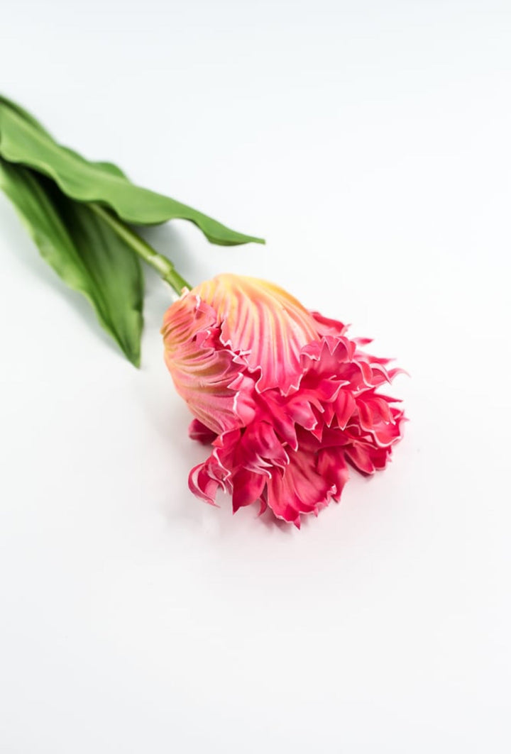 Artificial, pink & yellow, parrot tulip stem - Greenery MarketArtificial Flora2260032PY