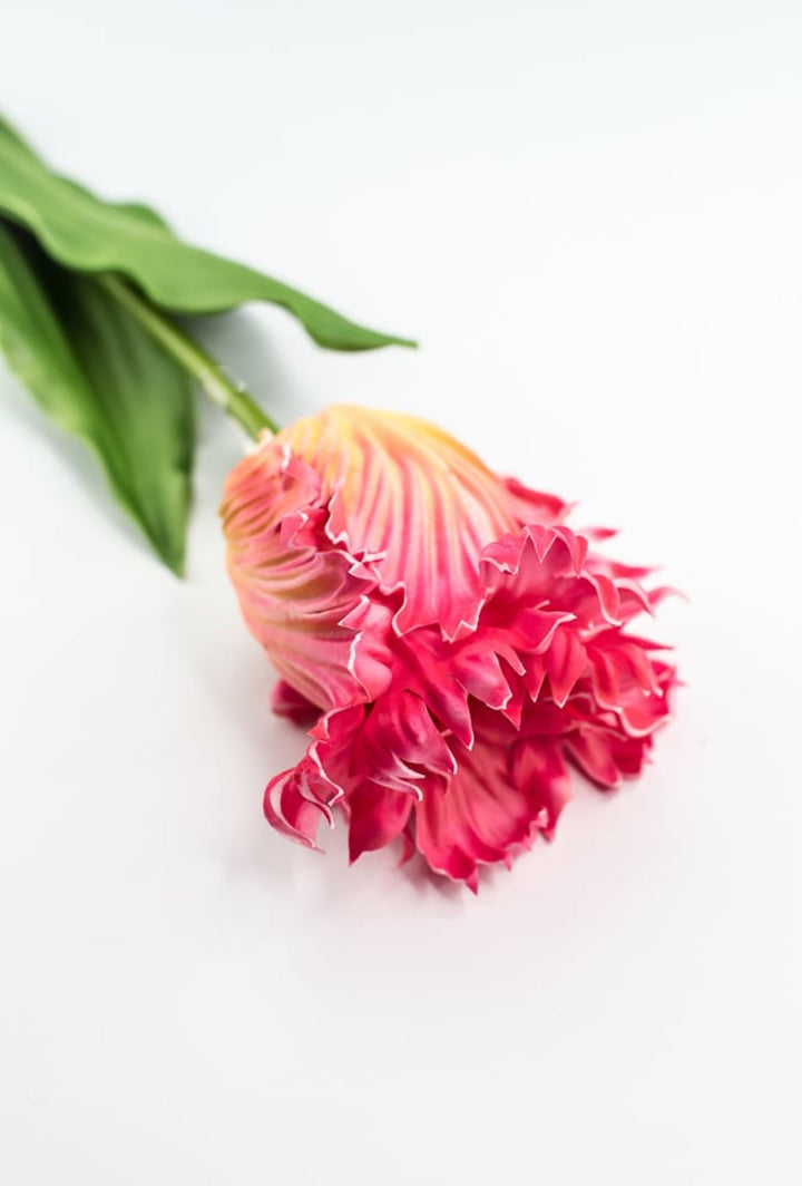 Artificial, pink & yellow, parrot tulip stem - Greenery MarketArtificial Flora2260032PY