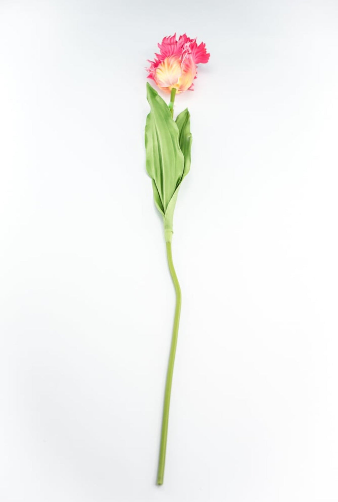 Artificial, pink & yellow, parrot tulip stem - Greenery MarketArtificial Flora2260032PY