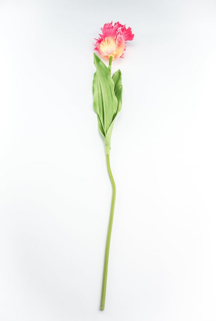 Artificial, pink & yellow, parrot tulip stem - Greenery MarketArtificial Flora2260032PY