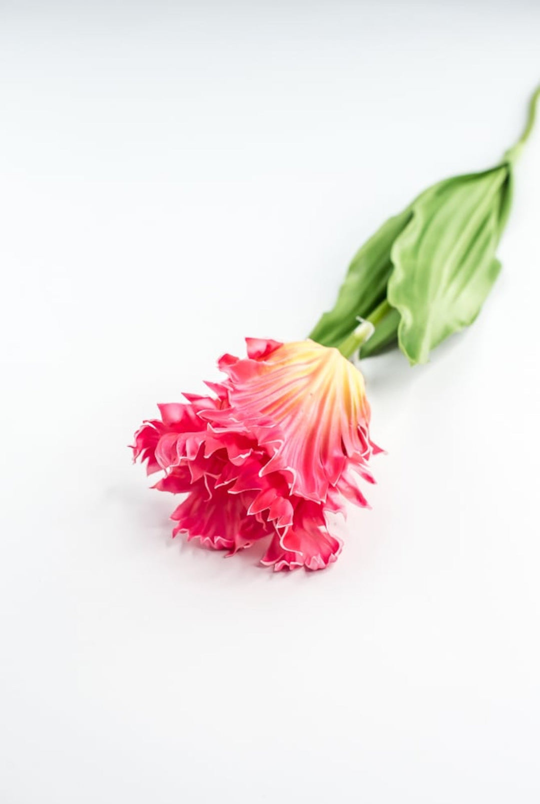 Artificial, pink & yellow, parrot tulip stem - Greenery MarketArtificial Flora2260032PY