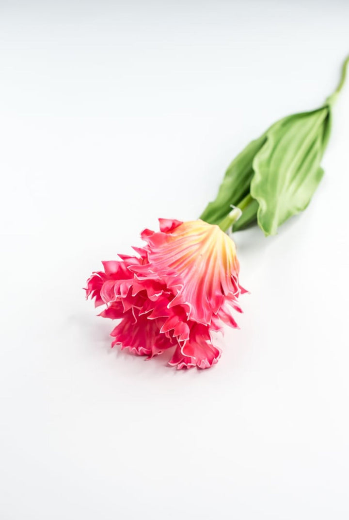 Artificial, pink & yellow, parrot tulip stem - Greenery MarketArtificial Flora2260032PY